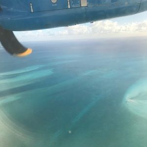 Meet your Posher, Quinn